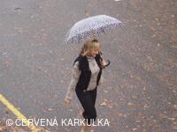 Perníkiáda s VŘSR 2008