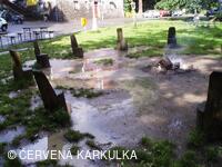 Medobraní s dětským dnem 2009 - v dešti