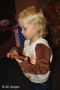 Království perníku 2010